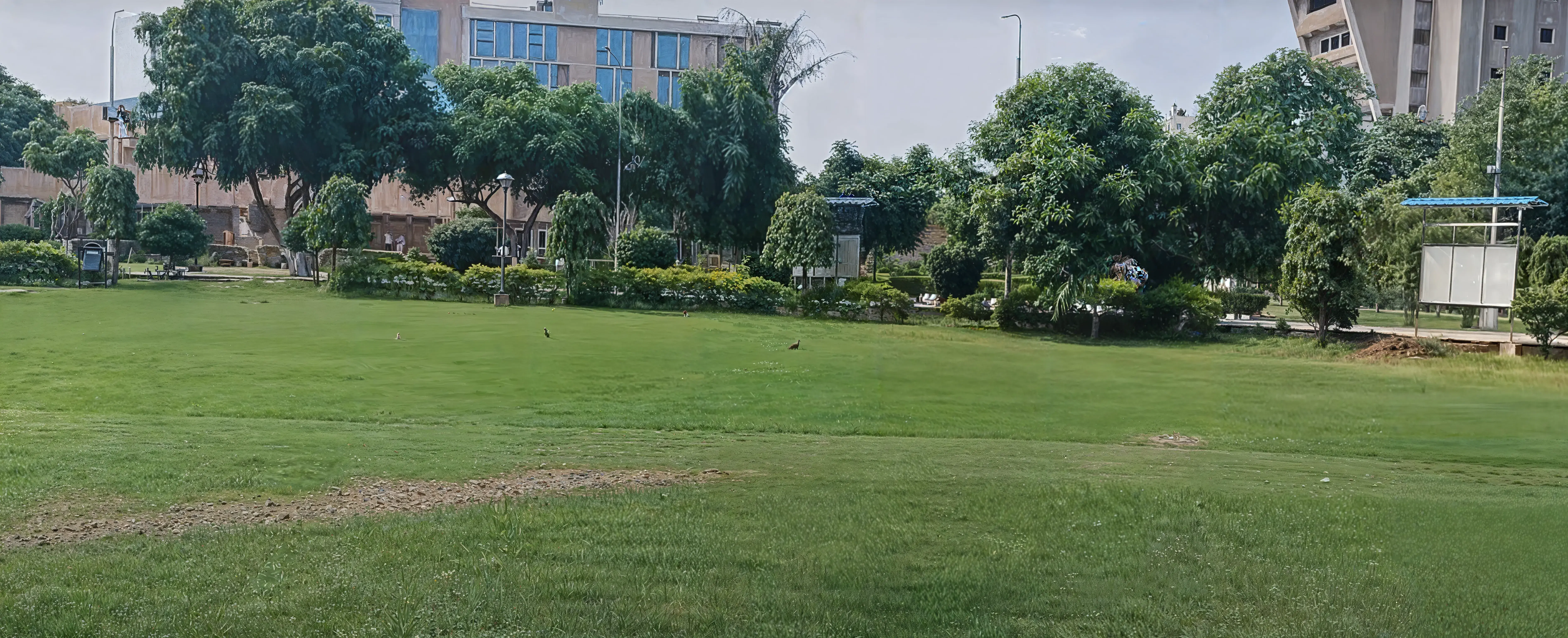 NIT Jalandhar sports photo 1